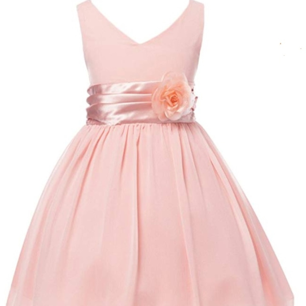Blush V-Neckline Chiffon Flower Girl Dress